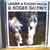 Daltrey,Roger Under+A+Raging+Moon CD