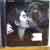 John Lennon And Yoko Ono Double+Fantasy CD